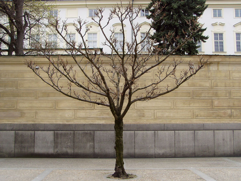 P4180067
