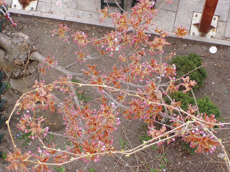 P4180068