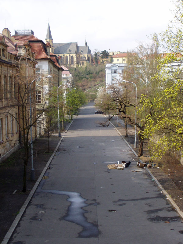 P4190085