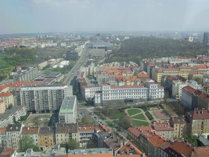P4200094