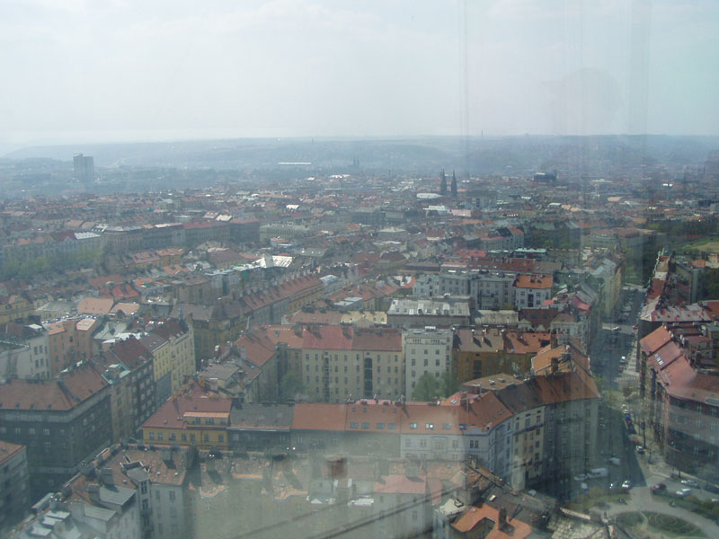 P4200095
