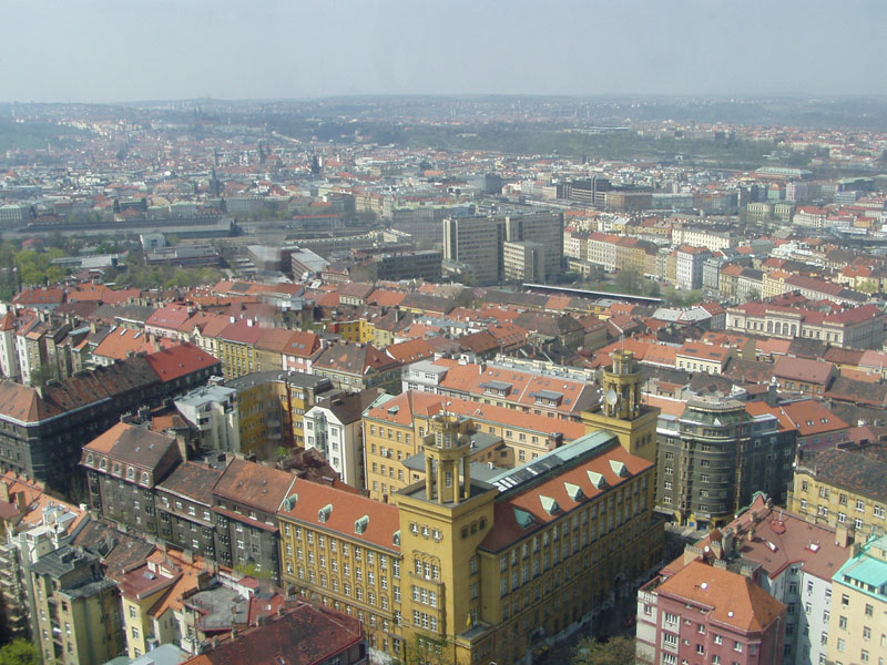 P4200097