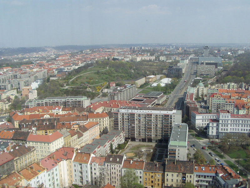 P4200098