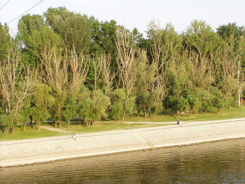 P5270041