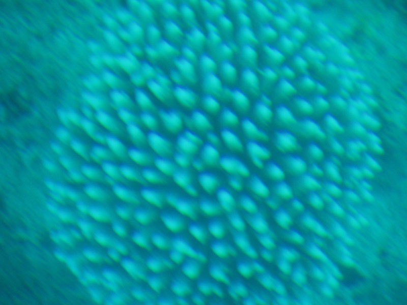 P6170070