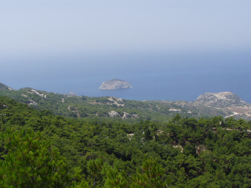 P8070117