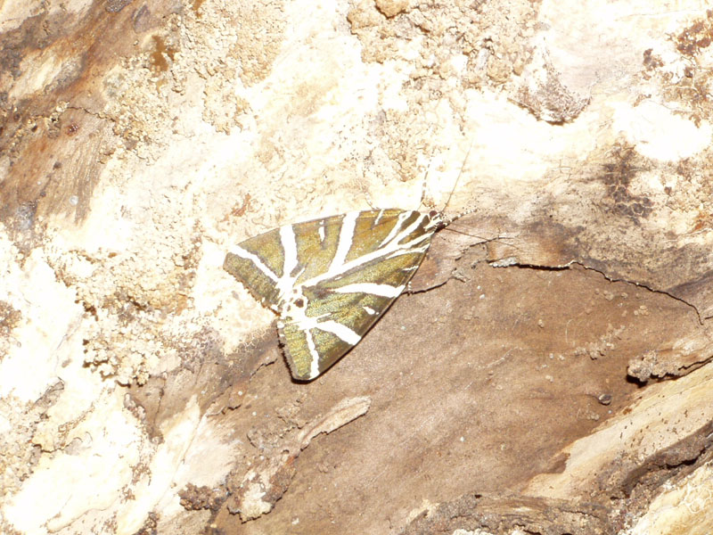 P8070129