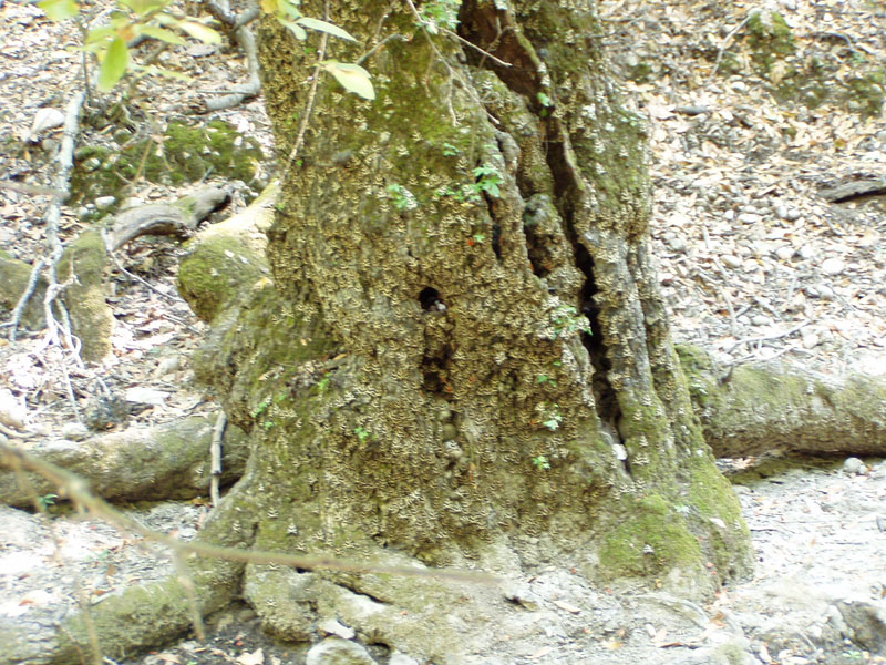 P8070131