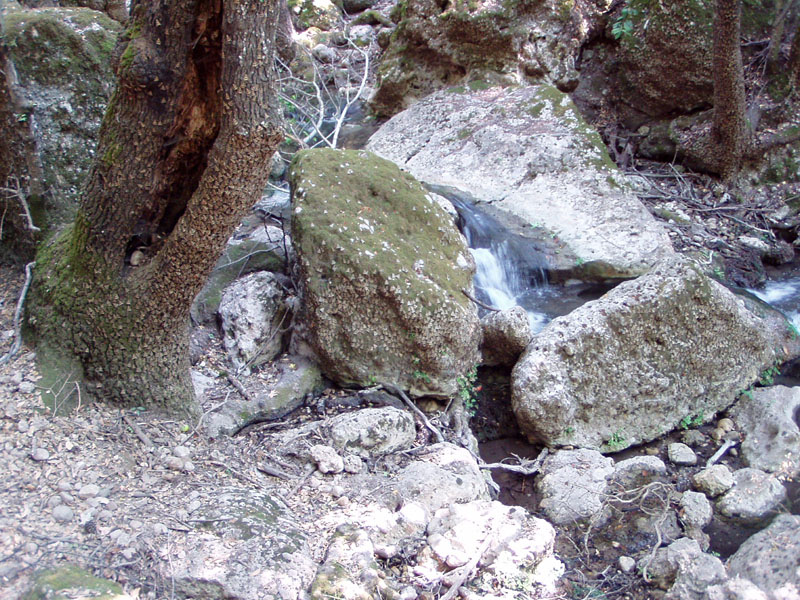 P8070132
