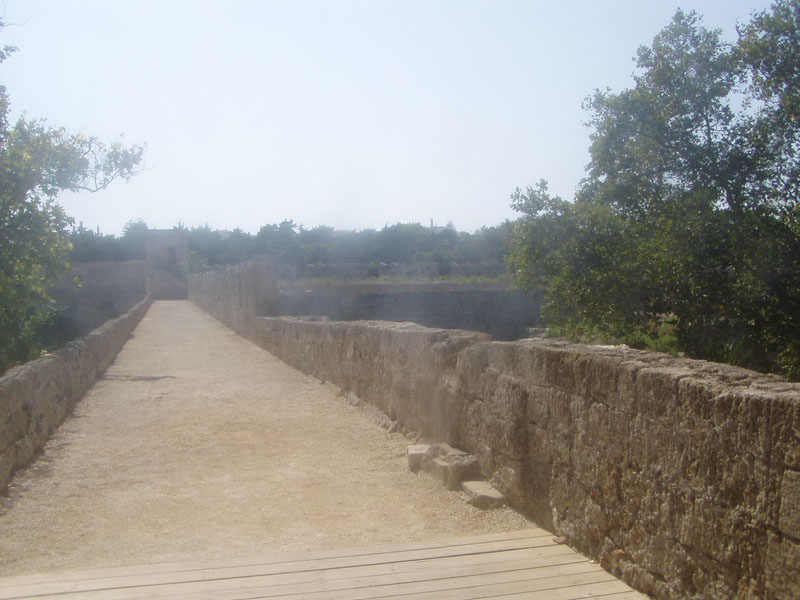 P8090176