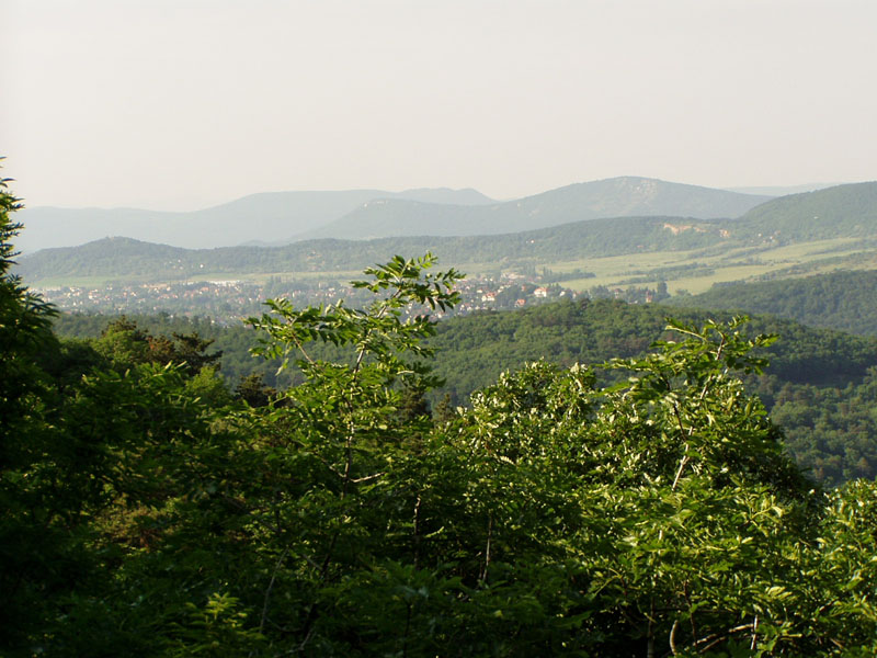 P5290101