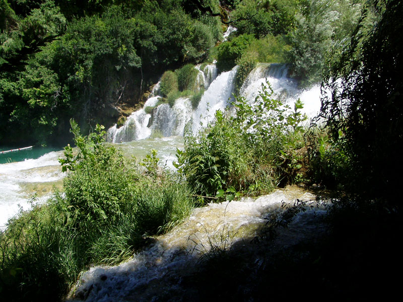 P7040058