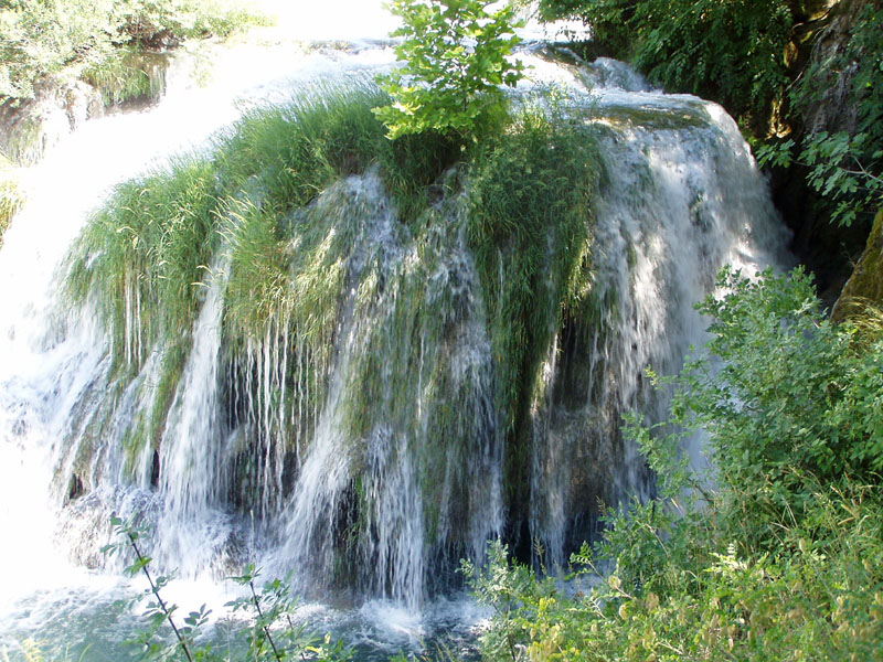 P7040065