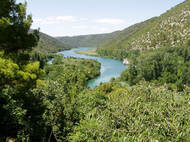 P7040068