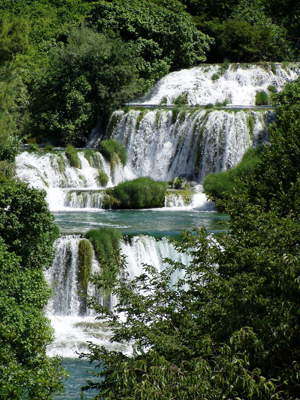 P7040072