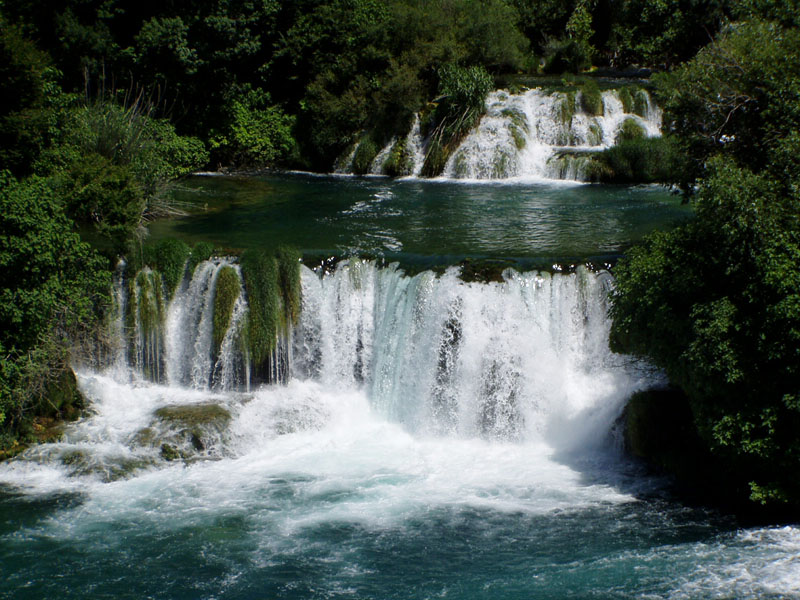 P7040075