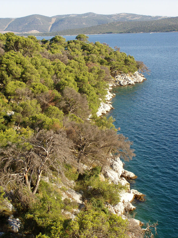 P7040098