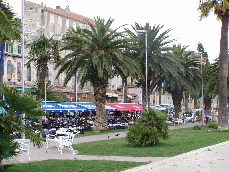 P7050108