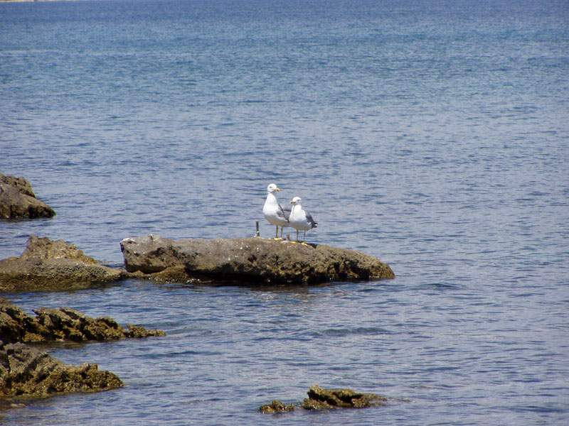 P7060120
