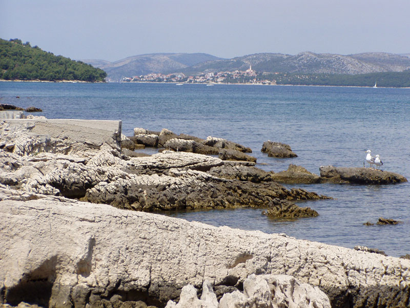P7060121